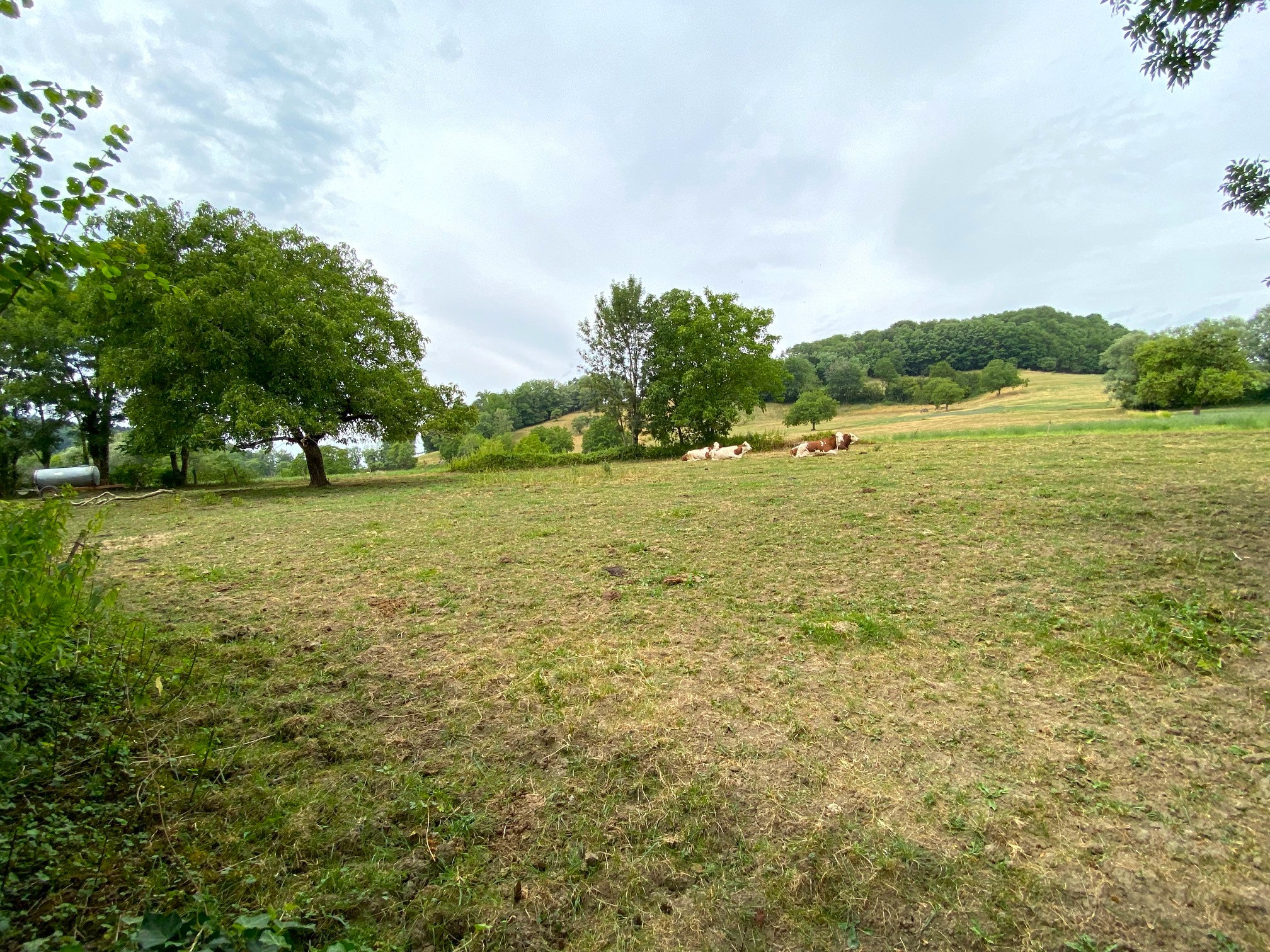 Terrain 628 m2 - Lot 3 - VAULX